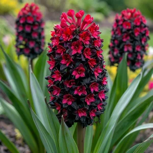 Гиацинт Джем Стоун купить по цене от 2099р. в интернет-магазине «Посадика» с доставкой почтой в в Константиновске и по всей России – [изображение №1].