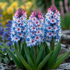 Гиацинт Пинк Мари купить по цене от 2099р. в интернет-магазине «Посадика» с доставкой почтой в в Константиновске и по всей России – [изображение №1].