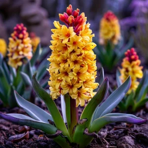 Гиацинт Миднайт Мистери купить по цене от 2099р. в интернет-магазине «Посадика» с доставкой почтой в в Константиновске и по всей России – [изображение №1].