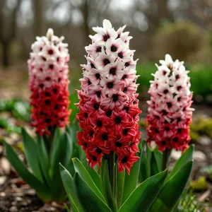 Гиацинт Скай Гарден купить по цене от 2099р. в интернет-магазине «Посадика» с доставкой почтой в в Константиновске и по всей России – [изображение №1].